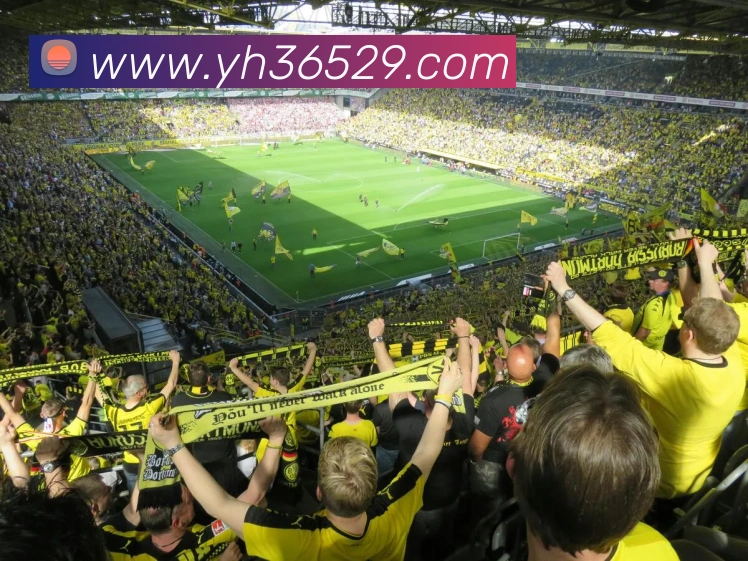 平台使命图